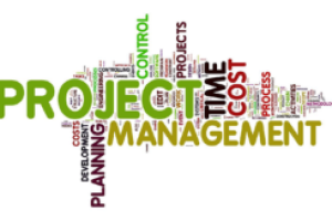 Client-Side PMO for Federal Government IT